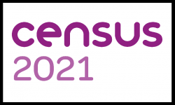 Census 2021 logo